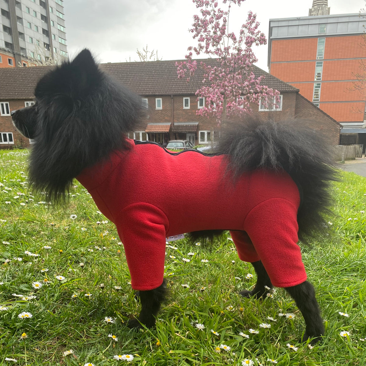 Fleece for a German Spritz