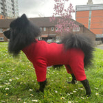 Load image into Gallery viewer, Fleece for a German Spritz