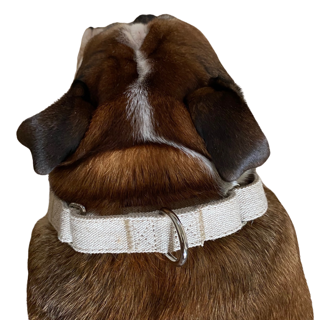 No-slip and no itch dog collar in natural hemp