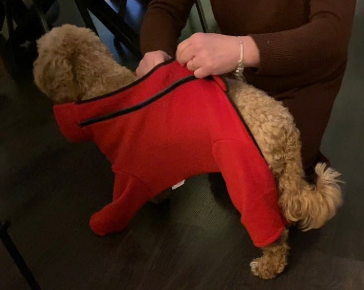 Red Dog Coat / Jumper fleece with zip and legs