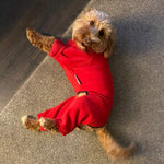 Load image into Gallery viewer, Cockapoo Red Dog Coat / Jumper with legs and zip - underbelly protection