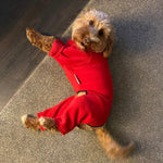 Load image into Gallery viewer, Cockapoo Red Dog Coat / Jumper with legs and zip - underbelly protection