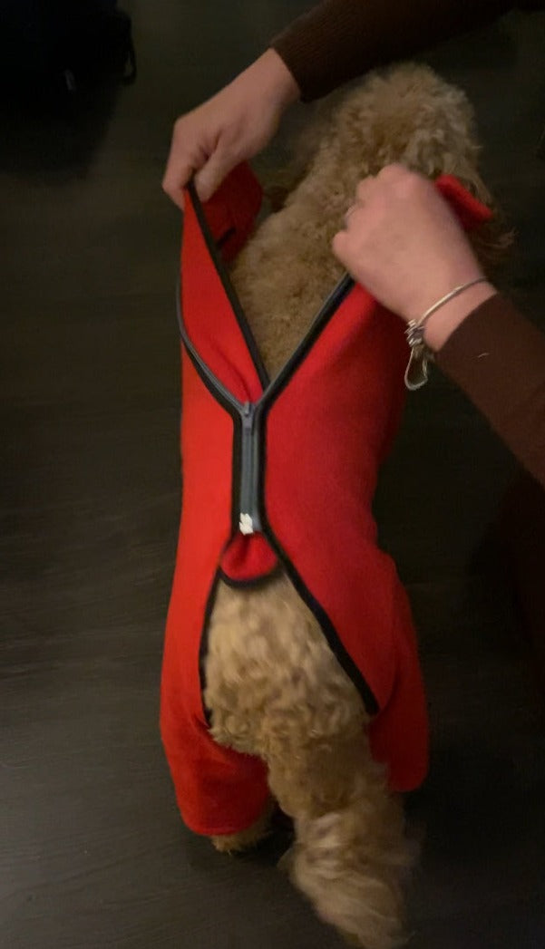 Red Dog Coat / Jumper fleece with zip and legs