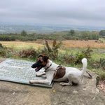 Load image into Gallery viewer, hemp dog harness