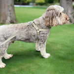 Load image into Gallery viewer, Natural hemp dog harness