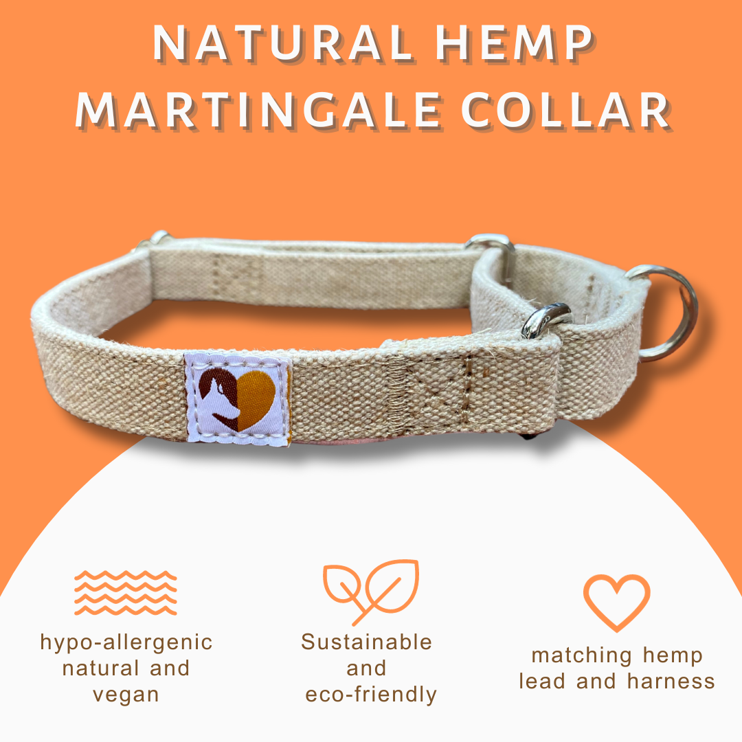 Hemp shop martingale collar