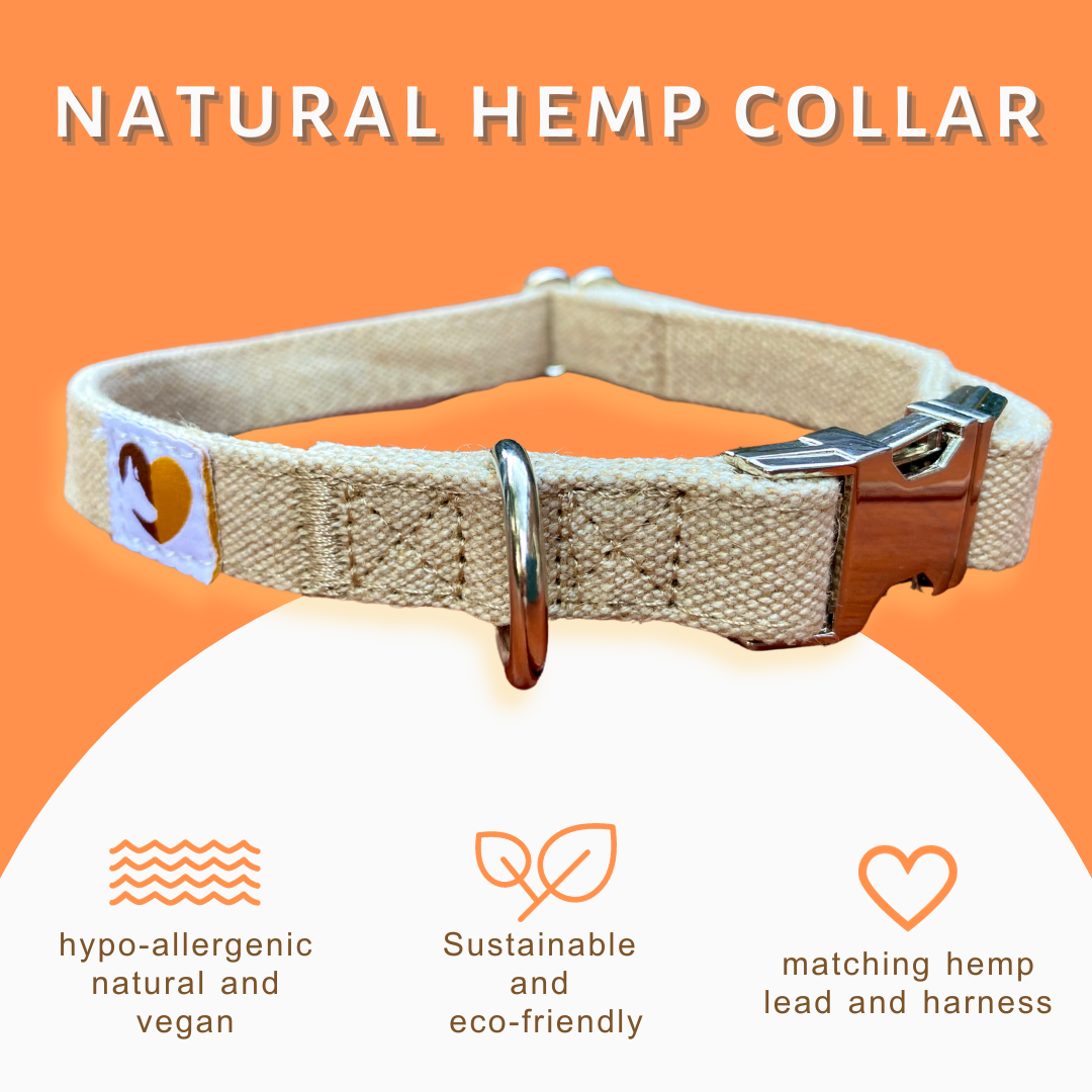 Natural Hemp Dog Collar (with metal buckle)