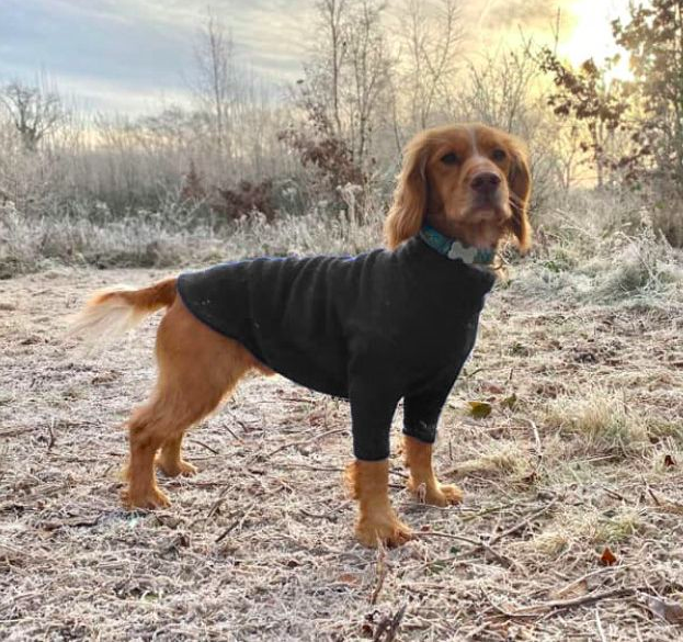 Black Fleece Dog Jumper by HOTTERdog