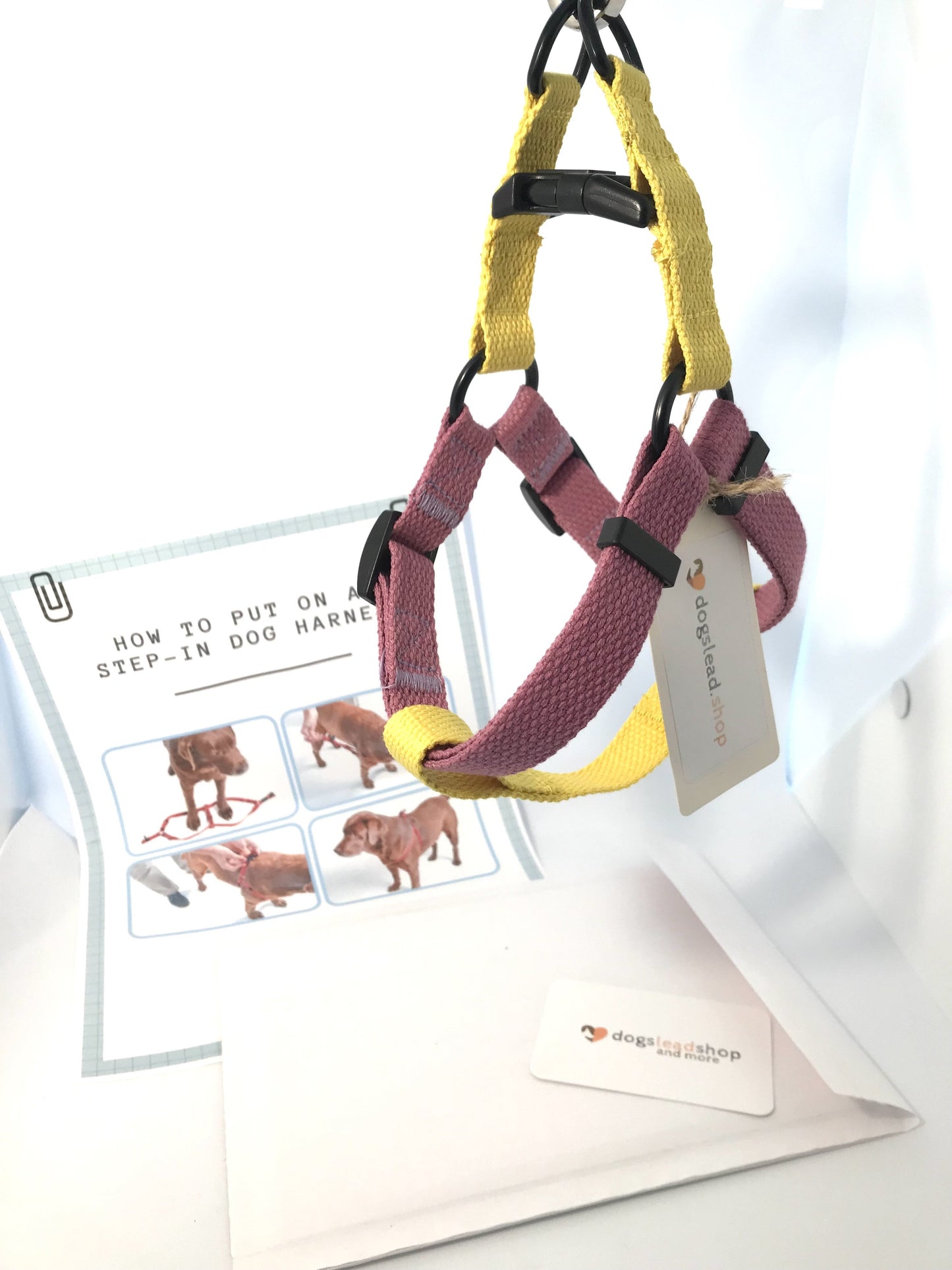 how to put on a step-in dog harness