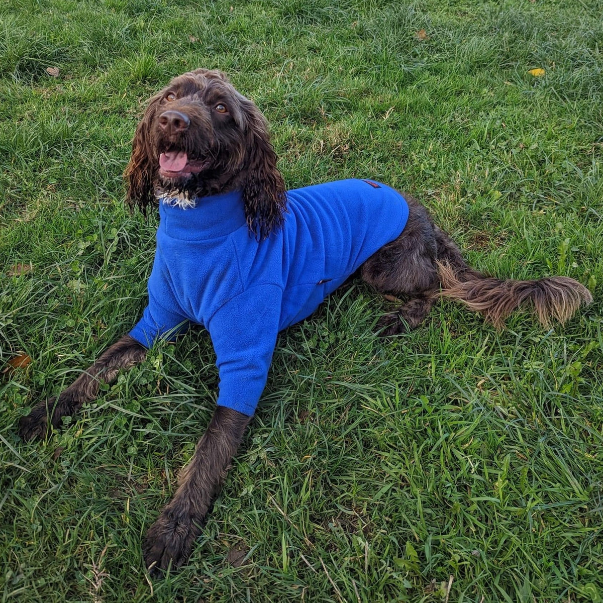 Royal Blue Fleece Dog Jumper 100% Rainproof, Breathable, Warm and Washable