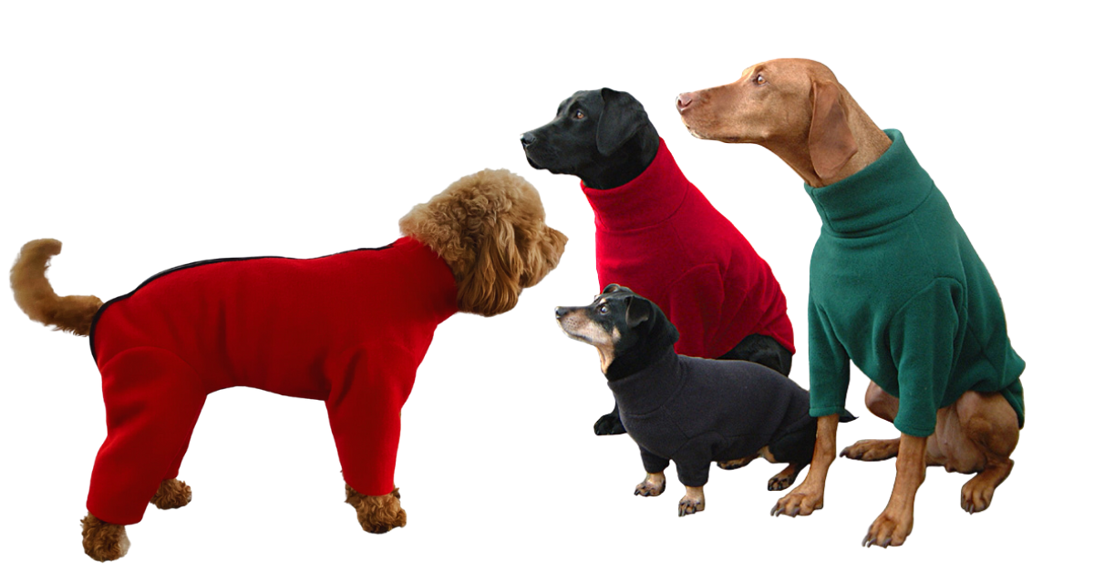 Dog fleece with legs and zip - HOTTERdog stockist in Greater London