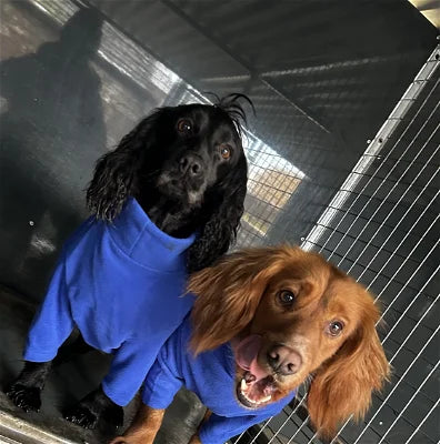Royal Blue Fleece Dog Jumper HOTTERdog®, 100% Rainproof, Breathable, Warm and Washable
