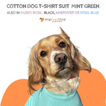 Charger l&#39;image dans la galerie, Mint Green cotton dog t-shirt suit, dog recovery and allergy suit by Equafleece®
