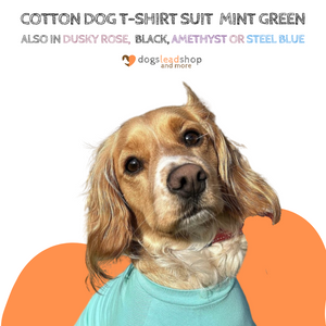 Mint Green cotton dog t-shirt suit, dog recovery and allergy suit by Equafleece®