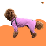 Carica l&#39;immagine nel visualizzatore di Gallery, Dusky Rose cotton dog t-shirt suit, dog allergy suit by Equafleece®
