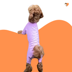 Carica l&#39;immagine nel visualizzatore di Gallery, Dusky Rose cotton dog t-shirt suit, dog allergy suit by Equafleece
