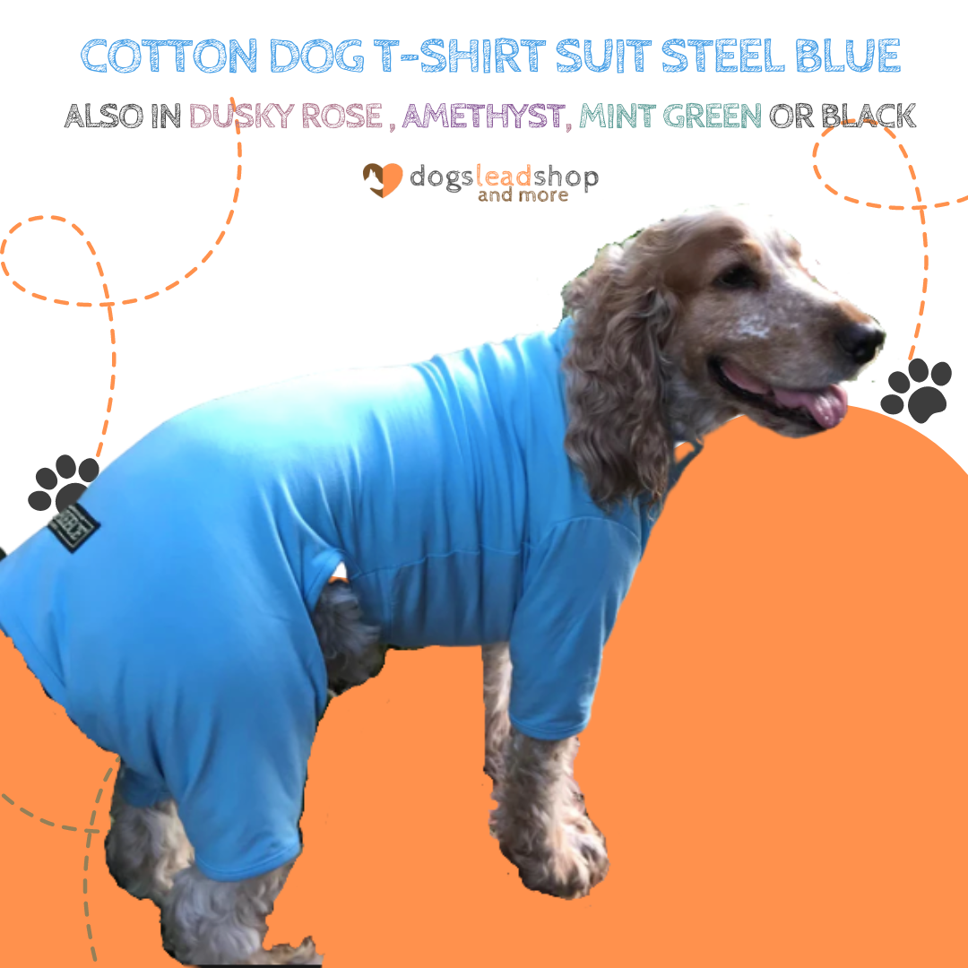 Steel Blue cotton dog t-shirt suit, dog recovery and allergy suit by Equafleece®