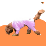 Carica l&#39;immagine nel visualizzatore di Gallery, Dusky Rose cotton dog t-shirt suit, dog allergy suit by Equafleece®
