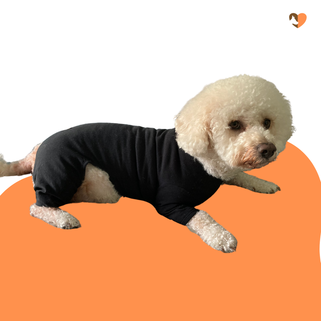 Black cotton dog t-shirt suit, dog recovery and allergy suit