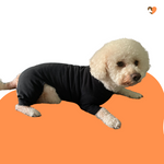 Charger l&#39;image dans la galerie, Black cotton dog t-shirt suit, dog recovery and allergy suit by Equafleece
