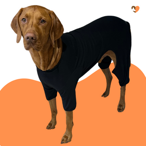 Black cotton dog t-shirt suit, dog recovery and allergy suit by Equafleece