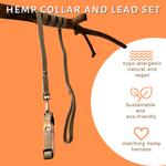 Load image into Gallery viewer, Natural hemp dog collar and lead set
