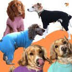 Load image into Gallery viewer, Cotton dog t-shirt suit, dog recovery and allergy suit by Equafleece®
