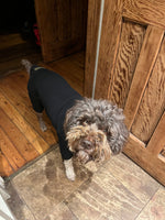 Charger l&#39;image dans la galerie, Black cotton dog t-shirt suit, dog recovery and allergy suit by Equafleece
