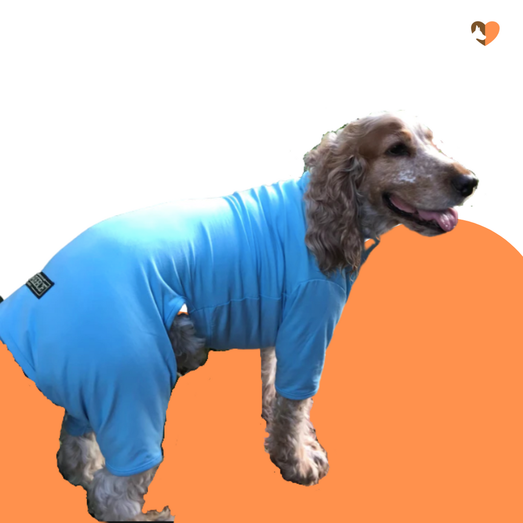 Steel Blue cotton dog t-shirt suit, dog recovery and allergy suit by Equafleece®