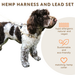 Load image into Gallery viewer, natural hemp dog harness and lead set, size S, cockapoo puppy
