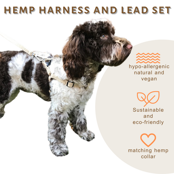 Cockapoo harness size clearance