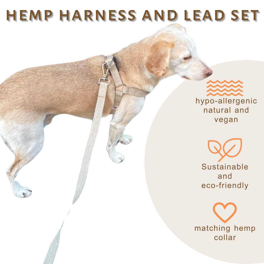 natural hemp dog harness and lead set