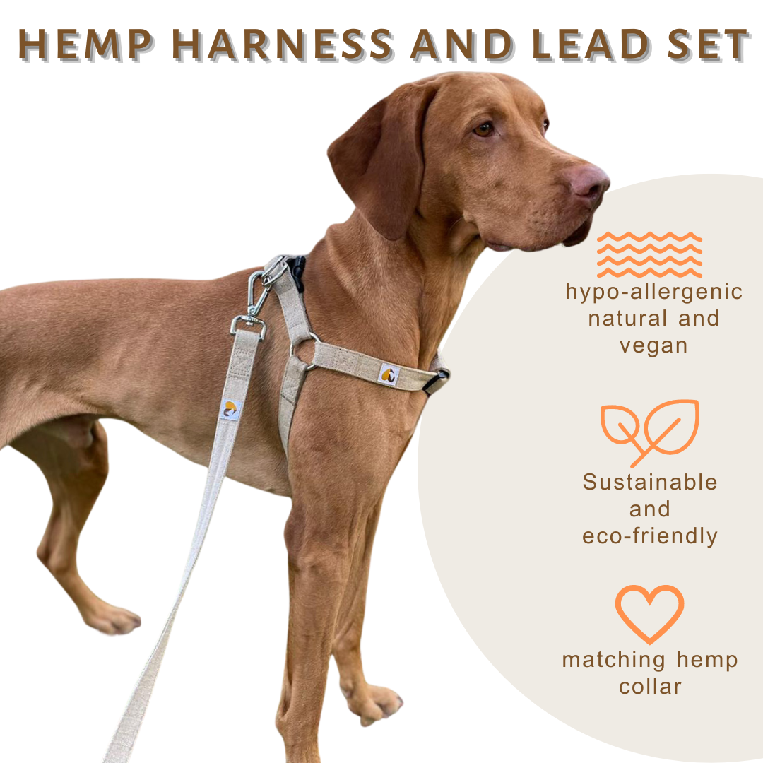 No pull dog harness canada clearance