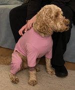 Charger l&#39;image dans la galerie, Cotton dog t-shirt suit in Dusky Rose, dog recovery suit
