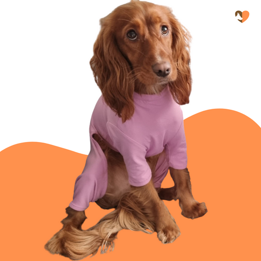 Dusky Rose cotton dog t-shirt suit, dog recovery and allergy suit by Equafleece®