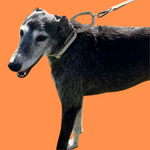 Charger l&#39;image dans la galerie, No-Slip dog collar in Natural Hemp
