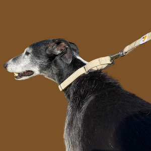 No-Slip dog collar in Natural Hemp with matching lead