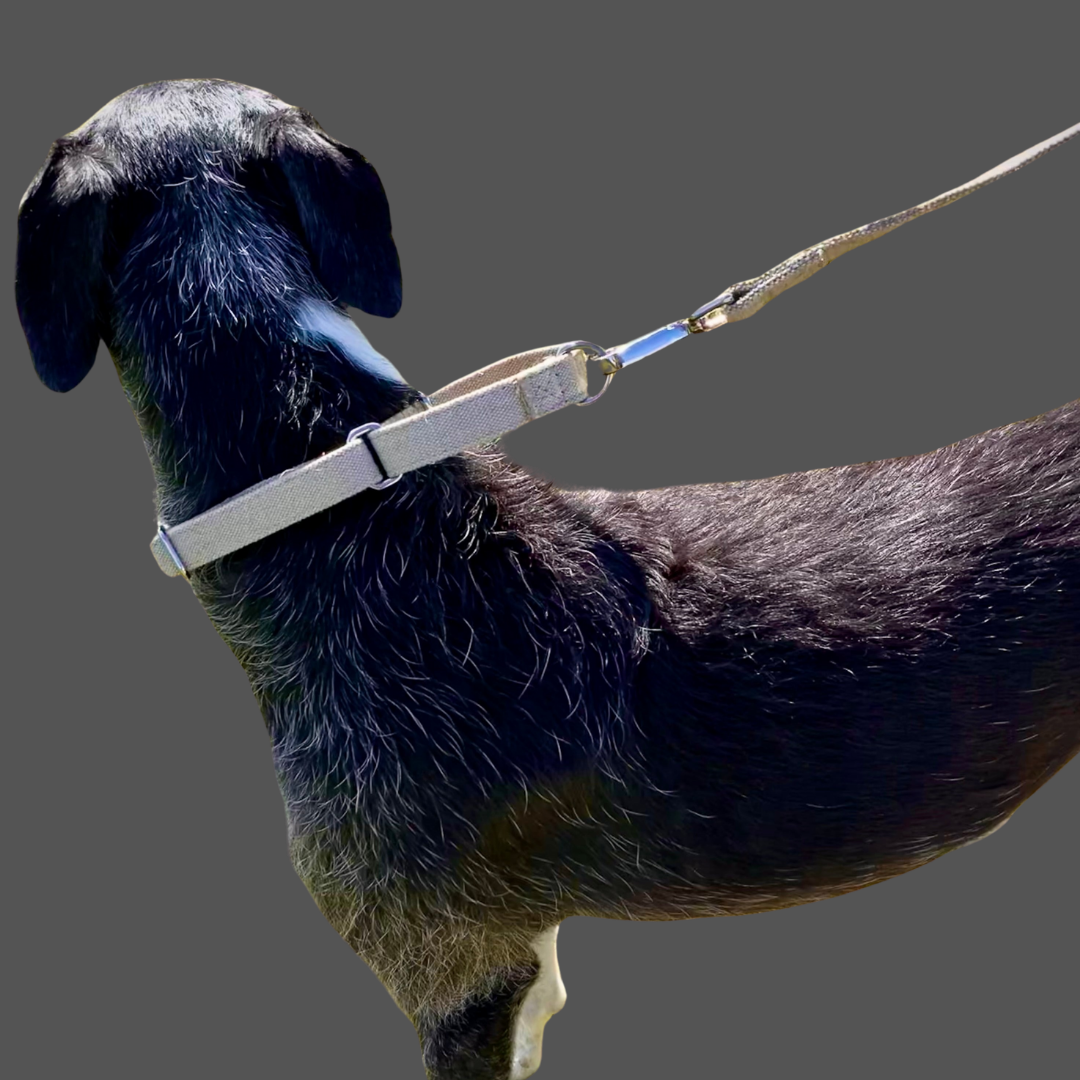 No-slip and no itch dog collar in natural hemp, with matching lead 
