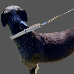 Carica l&#39;immagine nel visualizzatore di Gallery, martingale dog collar in natural hemp, with matching lead 
