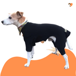 Charger l&#39;image dans la galerie, Black cotton dog t-shirt suit, dog recovery and allergy suit by Equafleece®

