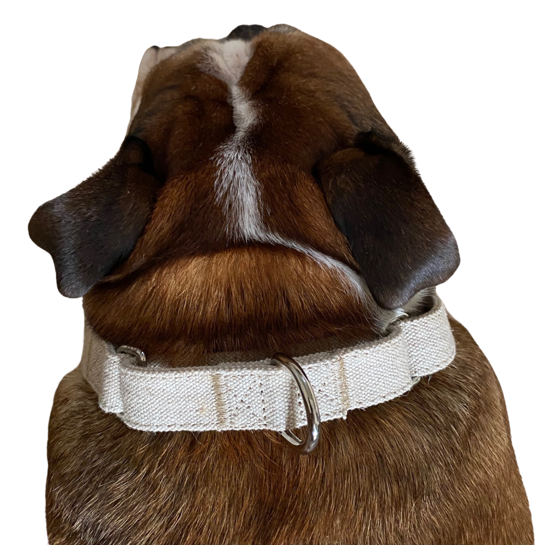 No-slip and no itch dog collar in natural hemp 