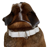 Carica l&#39;immagine nel visualizzatore di Gallery, No-Pull training martingale dog collar in Natural  Hemp
