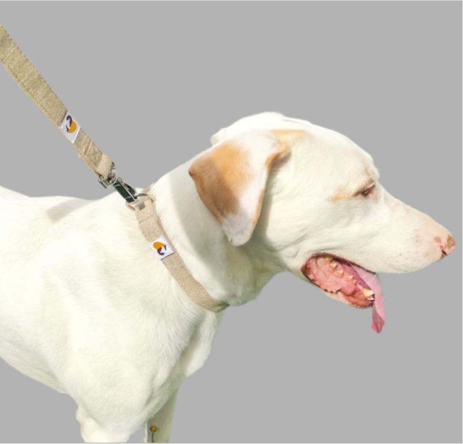 Natural hemp dog collar and lead set