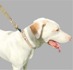 Charger l&#39;image dans la galerie, Natural hemp dog collar and lead set
