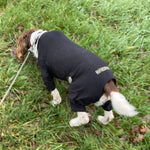 Load image into Gallery viewer, Cotton dog t-shirt suit in Black, dog recovery suit
