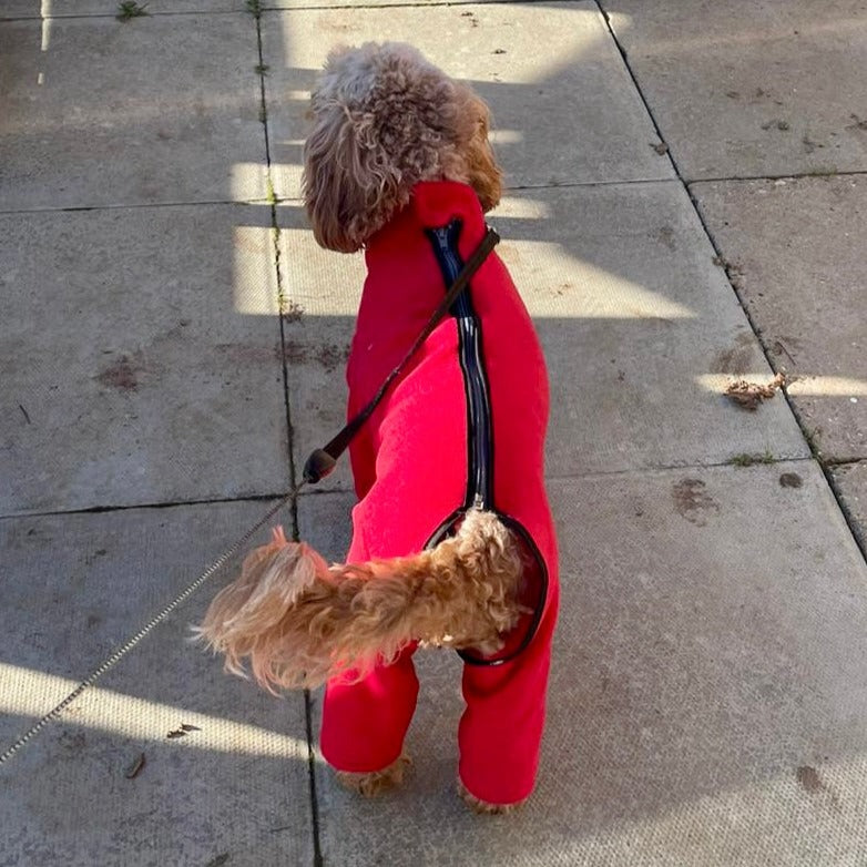 Red dog coat with zip and legs 