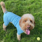 Load image into Gallery viewer, Cotton dog T-Shirt Suit, Sky Blue

