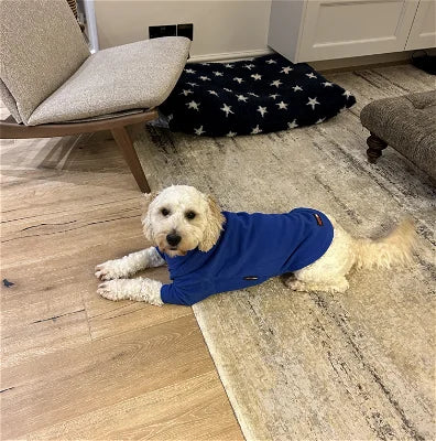 Maglione per cani in pile blu royal HOTTERdog, 100% antipioggia, traspirante, caldo e lavabile