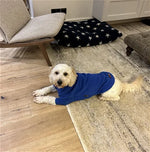 Charger l&#39;image dans la galerie, Pull pour chien en polaire bleu royal HOTTERdog, 100 % imperméable, respirant, chaud et lavable
