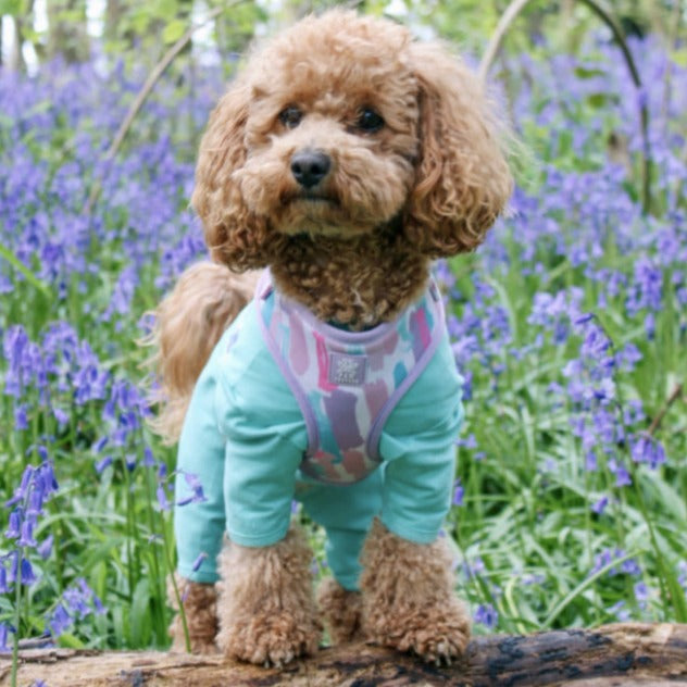 Mint Green cotton dog t-shirt suit, dog recovery and allergy suit by Equafleece®
